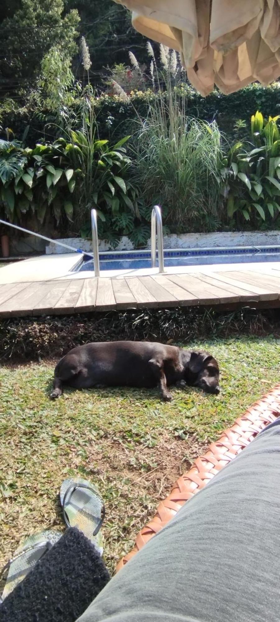 Casa Ranxoxita Hotel Itaipava ภายนอก รูปภาพ